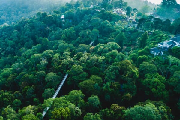 The Habitat Penang Hill